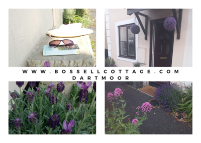 Bossell Cottage photo